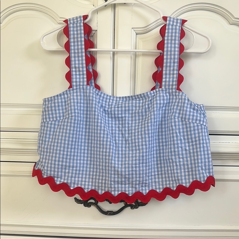 Blue and Red Gingham Crop Top